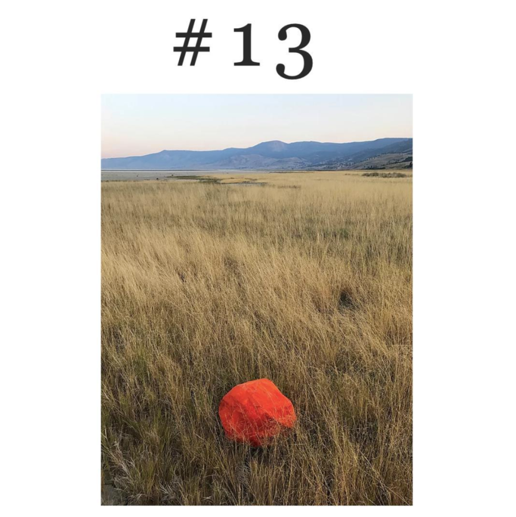 An image of an ambiguously shaped orange object in a grassy field with hills in the distance on a white background with a hashtag followed by the number 13 written above the image